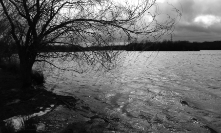 Rother Valley